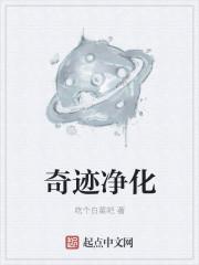 奇迹世界净化的能源