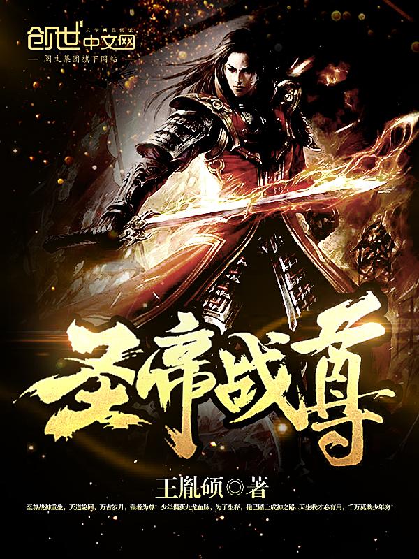 圣帝至尊免费奇书