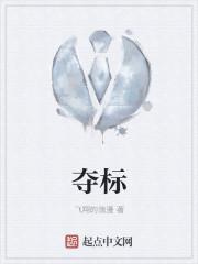 夺标电影的剧情简介