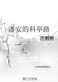 潘安的科举路手打