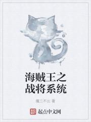 海贼王之超级大将系统