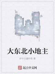 大东北小地主有空间