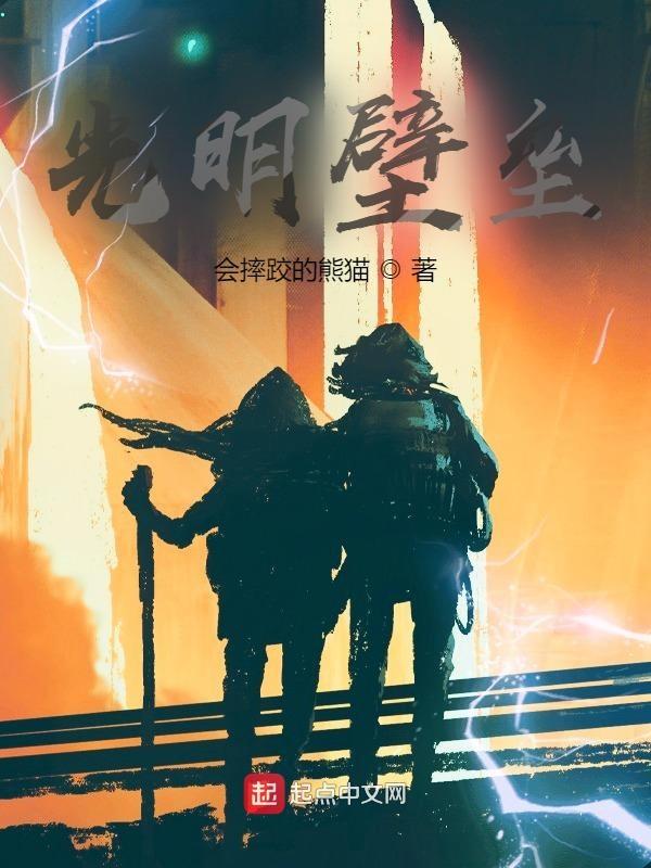 光明壁垒全本免费阅读