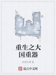 重生之大国重芯