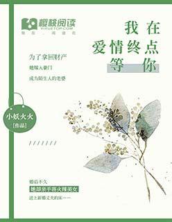 我在终点等你爱我简介