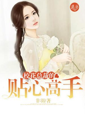 校花的贴身高手剧