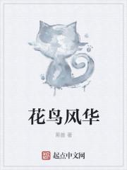 花鸟风月 spitz