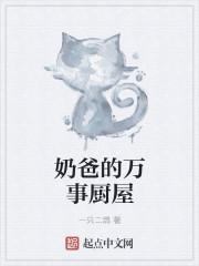 奶爸厨神系列
