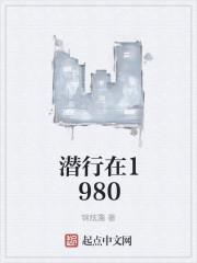 我在1980有个原始森林