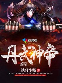 丹武神帝境界等级