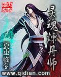 炼魂师是什么意思