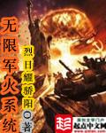 无限军火系统一口气看完全集