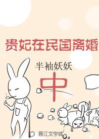 贵妃在民国离婚中免费
