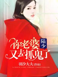 陆少你老婆又上热
