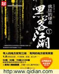 疯狂的硬盘免费阅读