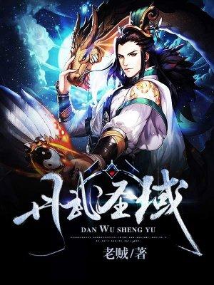 丹武圣域免费阅读