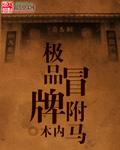 极品假冒驸马
