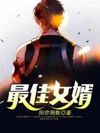 最佳赘婿 顶点