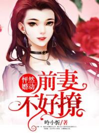 前妻再嫁我一次[看