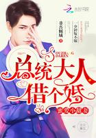 总裁大人的暖婚