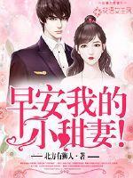 早安我的小甜妻 短剧免费观看
