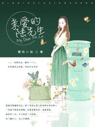 亲爱的陆先生 全文免费阅读 赵一笙