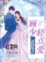 一夜惊喜顾少轻轻宠霍念念顾廷深