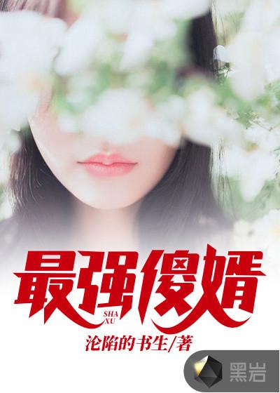 最强傻婿无弹窗