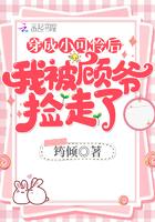 穿成小可怜后我被顾爷捡走了百度