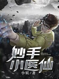 网络妙手小医仙