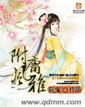 芙蓉风雅附庸风雅