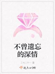 不曾遗忘不曾感伤歌词