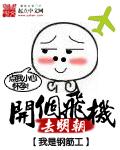 开个飞机去明朝百度百科