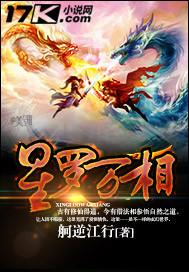 星罗gmv