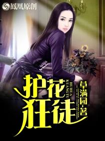 护花狂龙百科