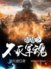 抗战之不死不休