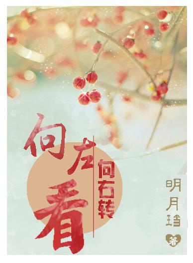 向左看向右转txt微盘