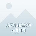亮剑开局我的团长是孔捷免费
