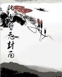 不凡神医林枫
