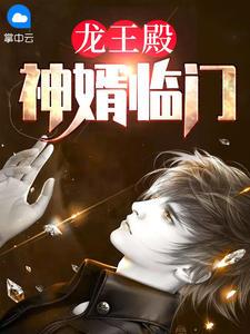 神婿龙王殿陈风