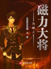 海贼王之磁场