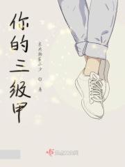 三级甲原型