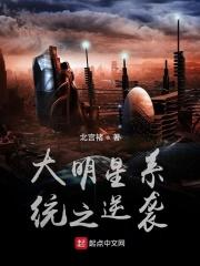 我有大明星系统