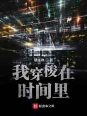 我穿梭在时间里是什么歌