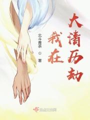 我在大清为后全文免费阅读