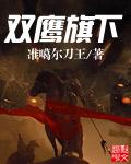 双鹰品牌介绍