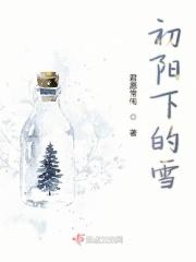 下初雪的诗句