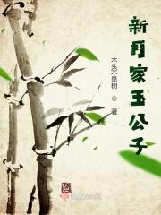 二胡独奏家玉公子是谁