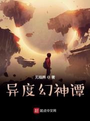 异度幻觉2011