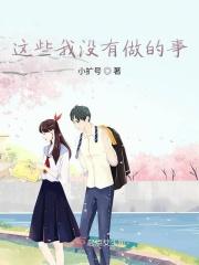 这件事我没做成
